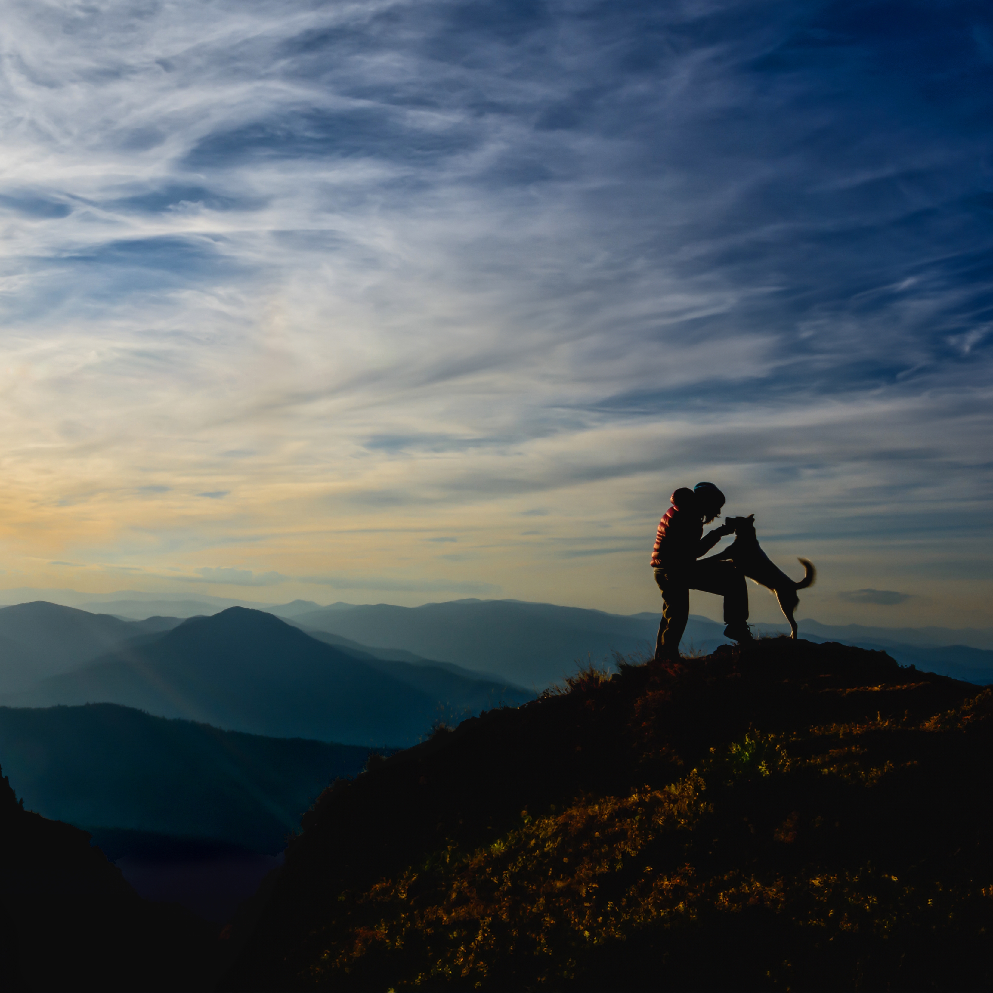 Man with dog on a mountain